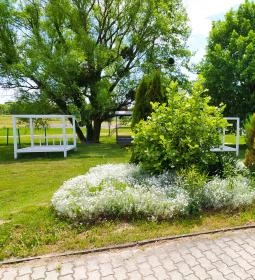 Szent Gróth Termálfürdő