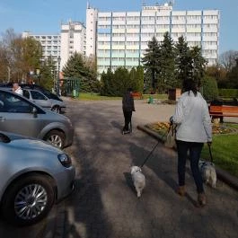 Hunguest Hotel Gyula, Gyula - Külső kép