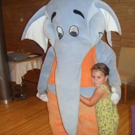 Velence Resort & Spa, Velence - Egyéb