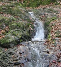 Ördögmalom Erdei Étterem