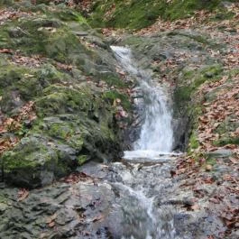 Ördögmalom Erdei Étterem Visegrád - Külső kép