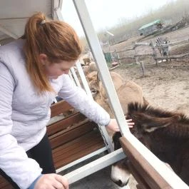 Richter Safari Park Nagykőrös - Egyéb