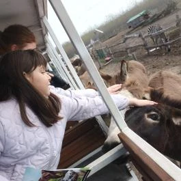 Richter Safari Park Nagykőrös - Egyéb