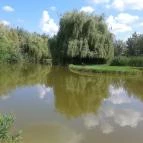 Bodrogi Kúria Wellness Hotel Inárcs - Környék