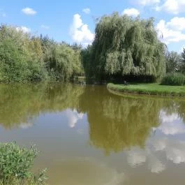 Bodrogi Kúria Wellness Hotel, Inárcs - Környék