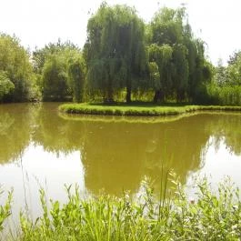 Bodrogi Kúria Wellness Hotel, Inárcs - Környék