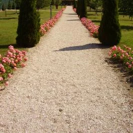 Bodrogi Kúria Wellness Hotel, Inárcs - Környék