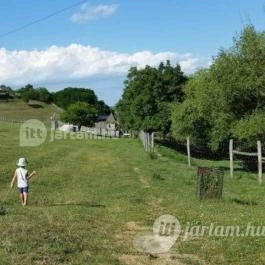 Katica Tanya, Patca - 