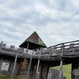 Katica Tanya, Patca - 