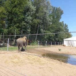Richter Safari Park Nagykőrös - Egyéb