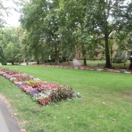 Hotel Napsugár Hévíz Hévíz - Környék