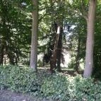 Hotel Arborétum Harkány - Környék