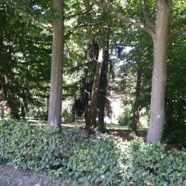 Hotel Arborétum Harkány - Környék