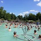 Hotel Arborétum Harkány - Medence/kert