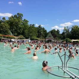 Hotel Arborétum Harkány - Medence/kert