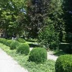 Hotel Arborétum Harkány - Környék