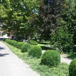 Hotel Arborétum Harkány - Környék