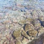 Hotel Három Hattyú Balatonföldvár - Környék