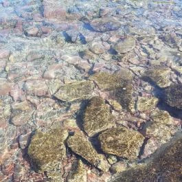 Hotel Három Hattyú Balatonföldvár - Környék