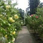 Hotel Radio Inn Siófok - Környék