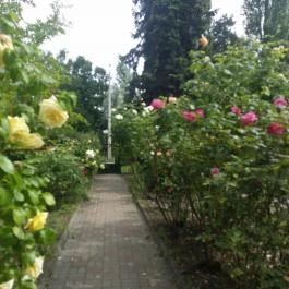 Hotel Radio Inn Siófok - Környék