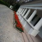 Vácrátóti Arborétum Vácrátót - 