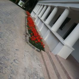 Vácrátóti Arborétum Vácrátót - Egyéb