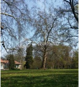 Vácrátóti Arborétum 