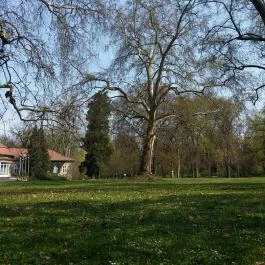 Vácrátóti Arborétum Vácrátót - Egyéb