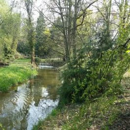 Vácrátóti Arborétum Vácrátót - Egyéb