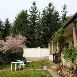 Marika Vendégház Mátraderecske - Medence/kert