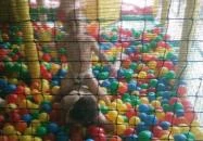 Tatabányai Gyémánt Fürdő Tatabánya