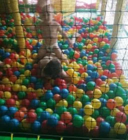 Tatabányai Gyémánt Fürdő