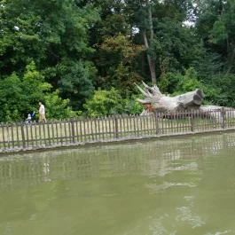 Szarvasi Arborétum, Szarvas - Egyéb