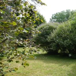 Szarvasi Arborétum, Szarvas - Egyéb