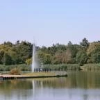 Hotel Corvus Aqua Orosháza - Környék