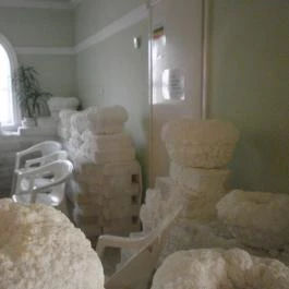 Hotel Corvus Aqua, Orosháza - Wellness