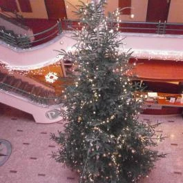 Palace Hotel Hévíz - Belső