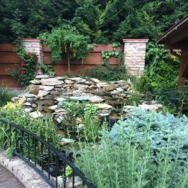 Diófa Vendéglő, Székesfehérvár - Külső kép