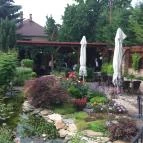 Diófa Vendéglő Székesfehérvár - Külső kép