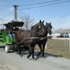 Hotel Aphrodite Zalakaros - Szórakozás/Sport