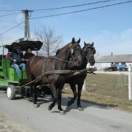 Hotel Aphrodite Zalakaros - Szórakozás/Sport