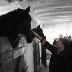 Hotel Aphrodite Zalakaros - Szórakozás/Sport