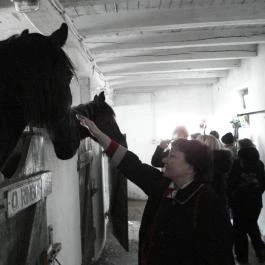 Hotel Aphrodite Zalakaros - Szórakozás/Sport