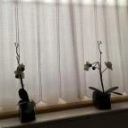 Fészek Fogadó Mosonmagyaróvár - Egyéb