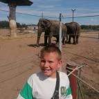 Richter Safari Park Nagykőrös - Egyéb