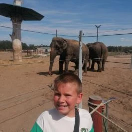 Richter Safari Park Nagykőrös - Egyéb