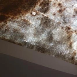 Hotel Fortuna Zalakaros - Külső kép