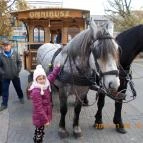 Erzsébet Szálloda Siófok Siófok - Szórakozás/Sport