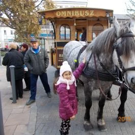 Erzsébet Szálloda Siófok Siófok - Szórakozás/Sport
